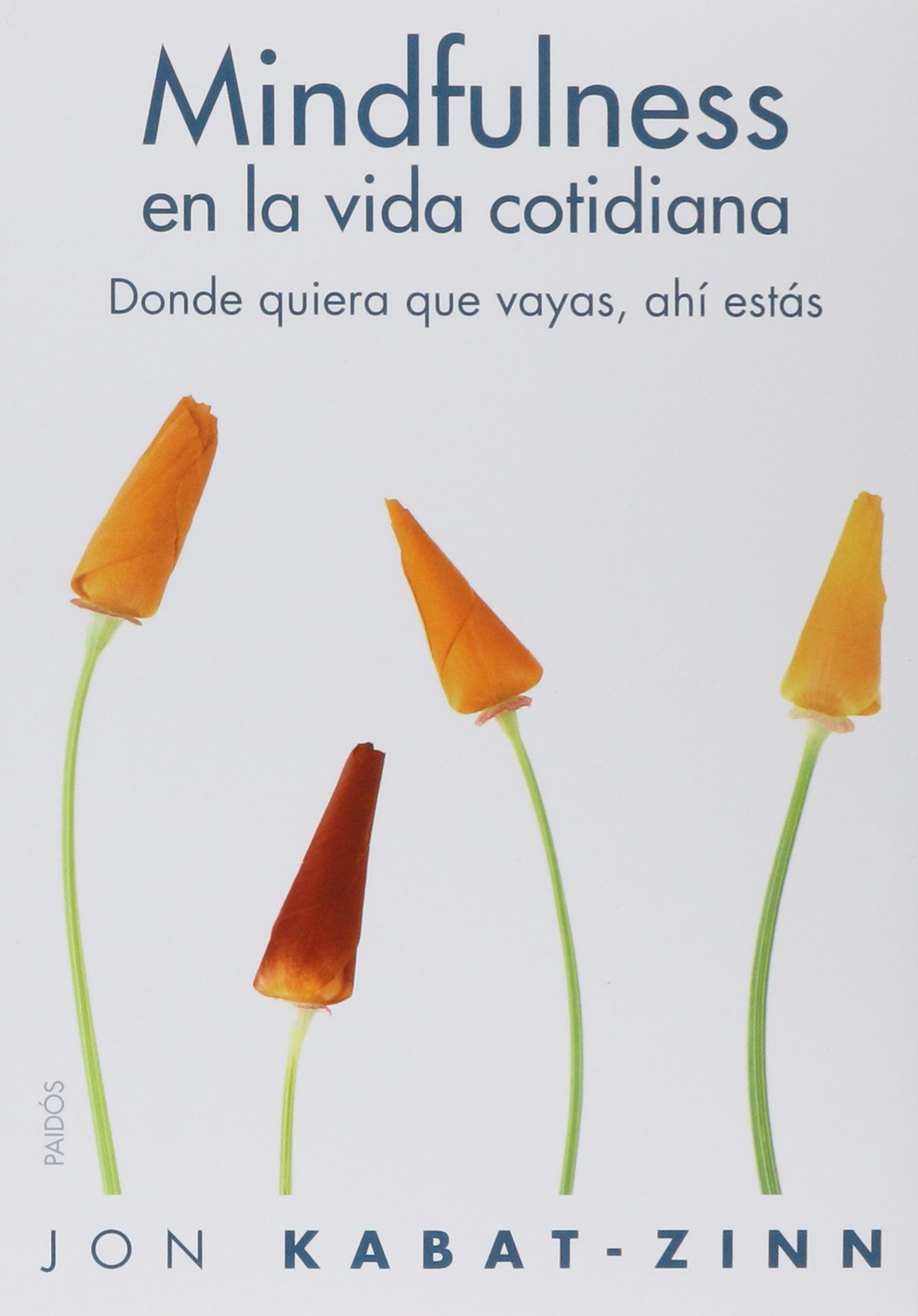 El libro de la alegría: Alcanza la felicidad duradera en un mundo en cambio constante