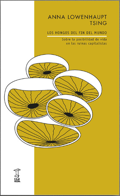 Los hongos del fin del mundo